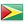 mini flag icon of Guyana