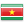 mini flag icon of Suriname
